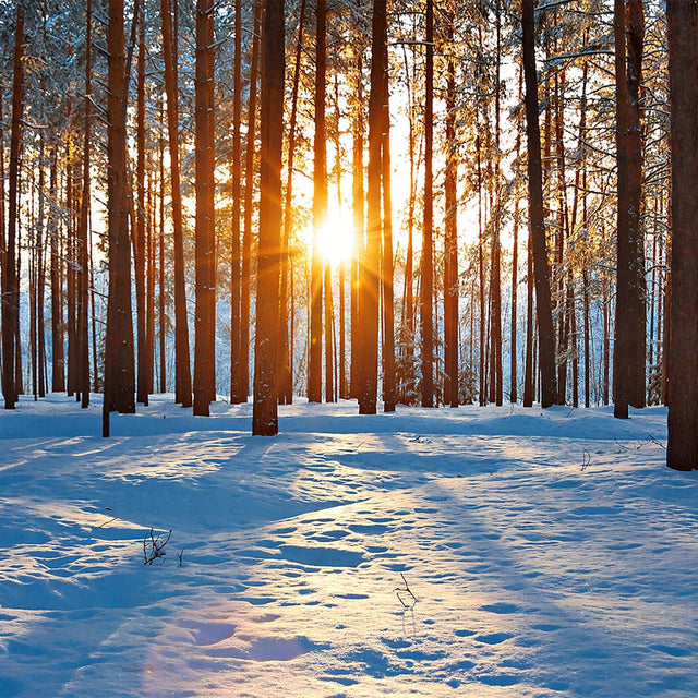 Soleil d'Hiver, parfum de lumière